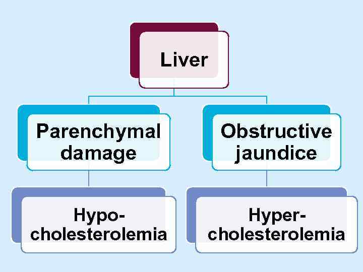 Liver Parenchymal damage Obstructive jaundice Hypocholesterolemia Hypercholesterolemia 