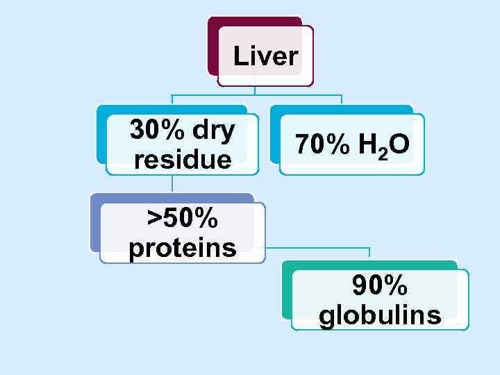 Liver 30% dry residue 70% H 2 O >50% proteins 90% globulins 