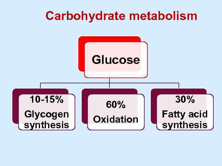 Carbohydrate metabolism Glucose 10 -15% Glycogen synthesis 60% Oxidation 30% Fatty acid synthesis 