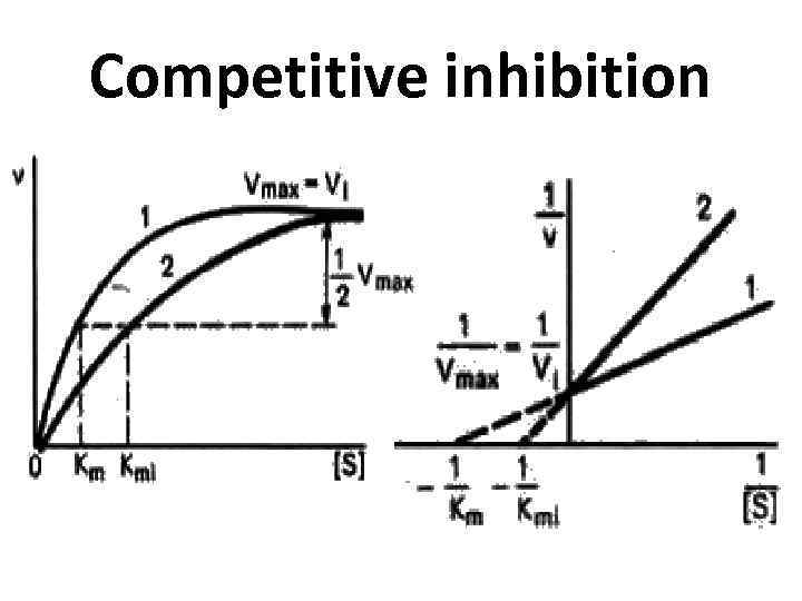 Competitive inhibition 