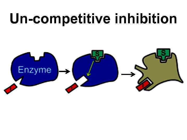 Un-competitive inhibition 