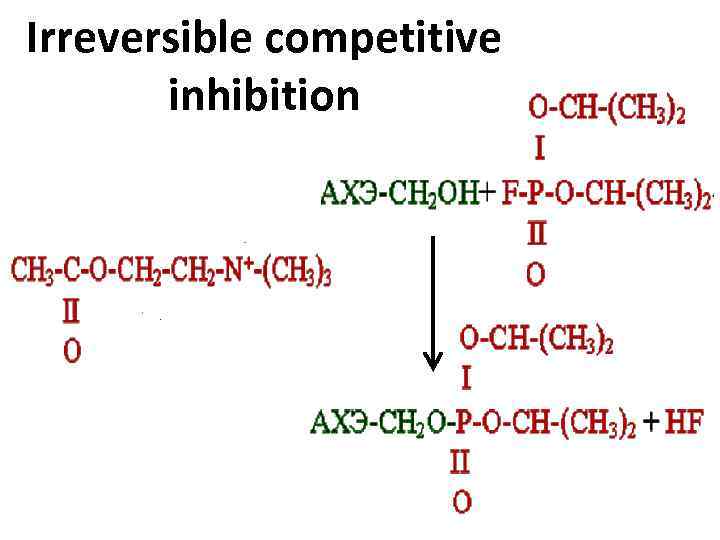 Irreversible competitive inhibition 