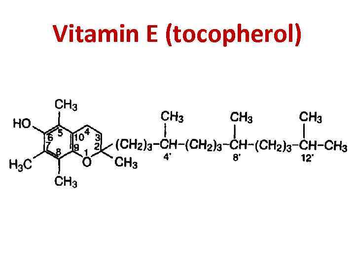 Vitamin E (tocopherol) 