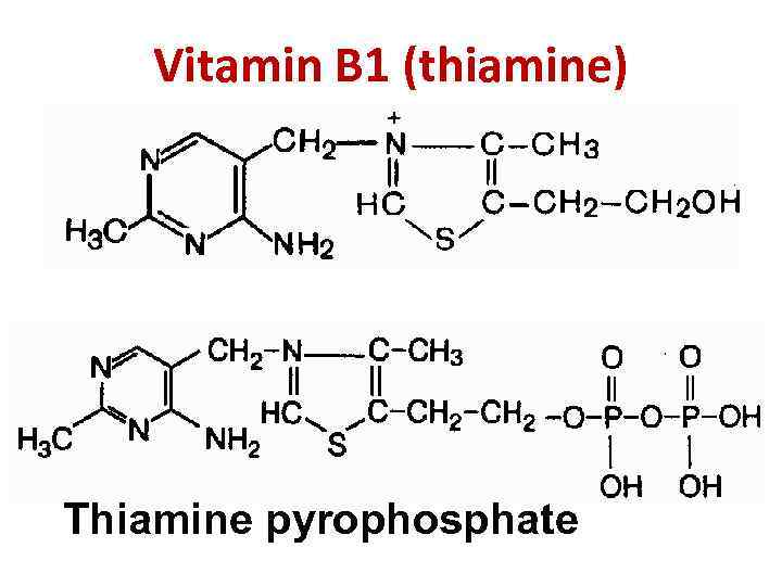 Vitamin B 1 (thiamine) Thiamine pyrophosphate 