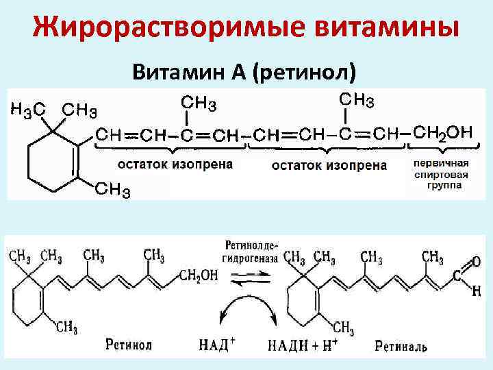 Жирорастворимые витамины Витамин А (ретинол) 
