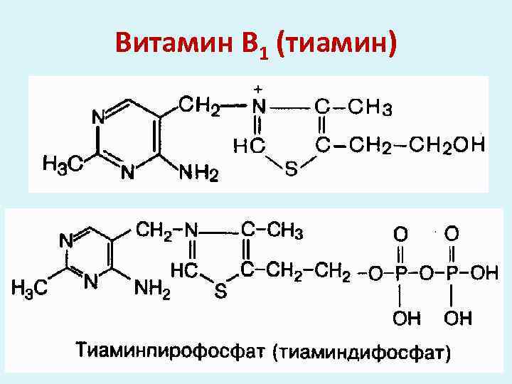 Витамин В 1 (тиамин) 