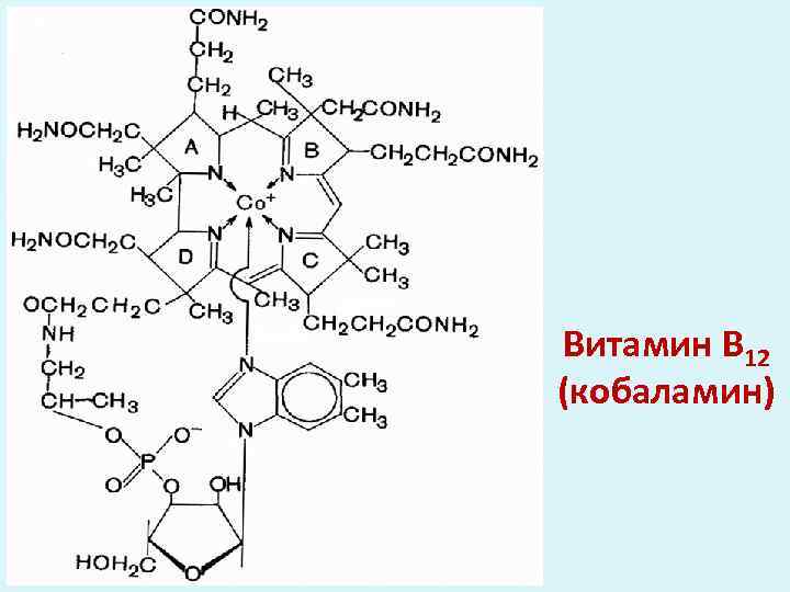 Витамин В 12 (кобаламин) 