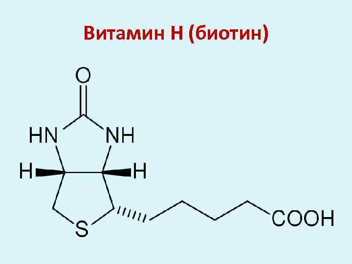 Витамин Н (биотин) 