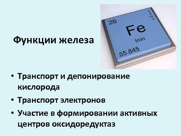 Функции железа • Транспорт и депонирование кислорода • Транспорт электронов • Участие в формировании