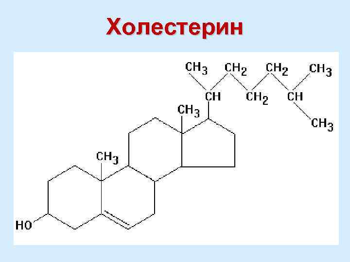 Холестерин 