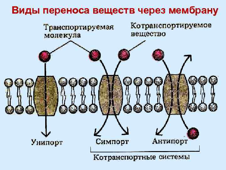 Перенос вещества