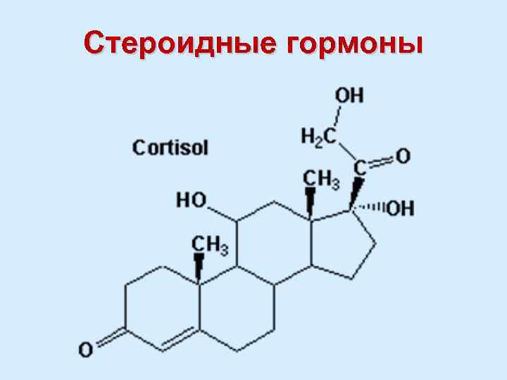 Стероидные гормоны 