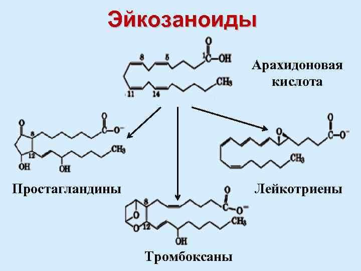 Простагландины схема синтеза