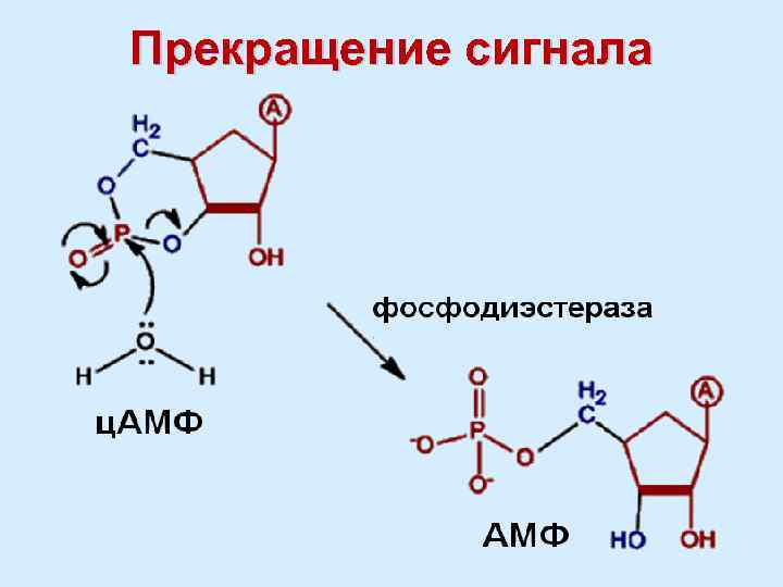 Прекращение сигнала 