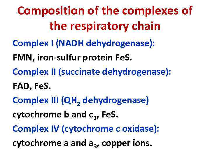 Composition of the complexes of the respiratory chain Complex I (NADH dehydrogenase): FMN, iron-sulfur