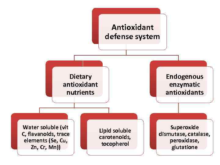 Antioxidant defense system Dietary antioxidant nutrients Water soluble (vit C, flavanoids, trace elements (Se,