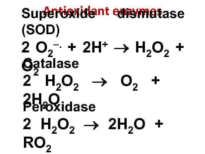 Antioxidant enzymes Superoxide dismutase (SOD) . + 2 Н+ H 2 O 2 +