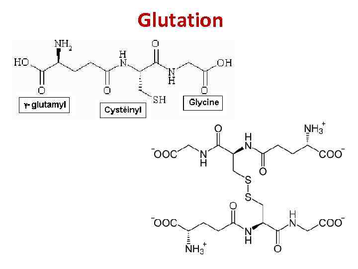 Glutation 