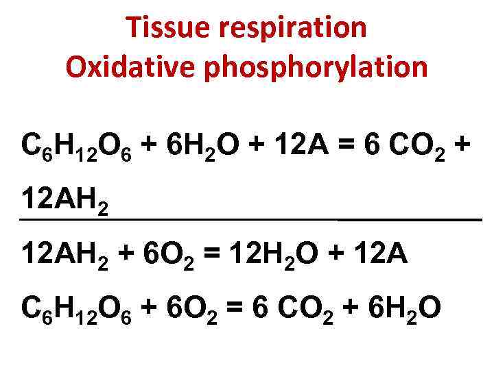 Tissue respiration Oxidative phosphorylation С 6 Н 12 О 6 + 6 Н 2