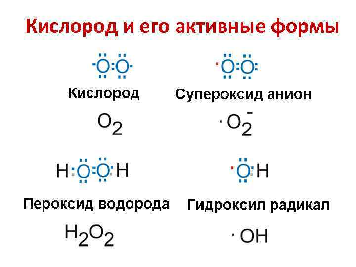 Кислород пластический обмен