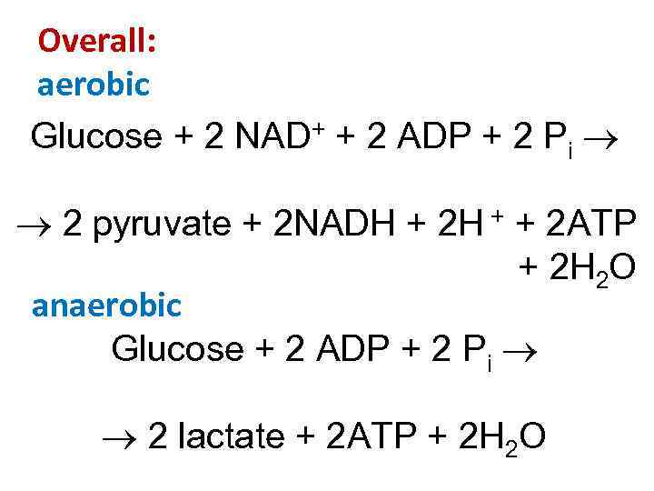 Overall: aerobic Glucose + 2 NAD+ + 2 ADP + 2 Pi 2 pyruvate