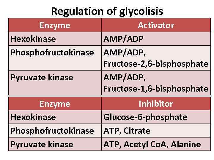 Regulation of glycolisis Enzyme Hexokinase Phosphofructokinase Pyruvate kinase Activator AMP/ADP, Fructose-2, 6 -bisphosphate AMP/ADP,