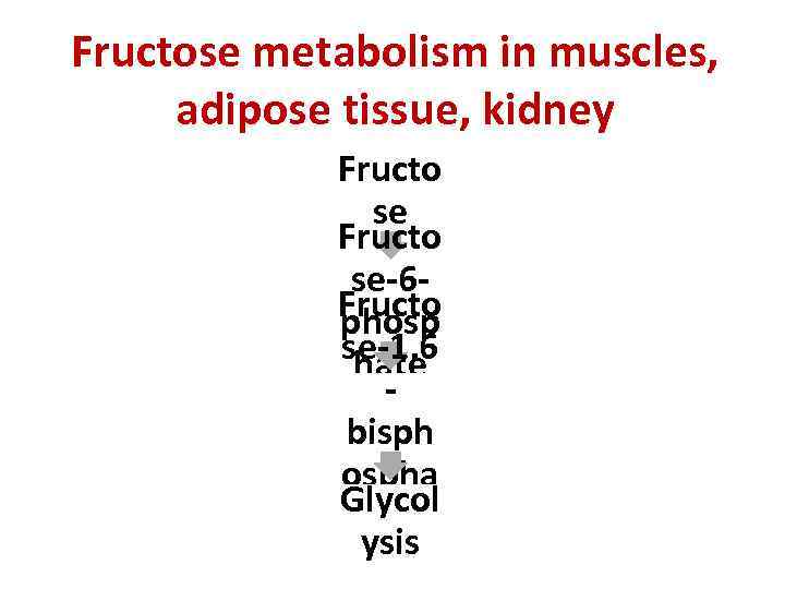 Fructose metabolism in muscles, adipose tissue, kidney Fructo se-6 Fructo phosp se-1, 6 hate