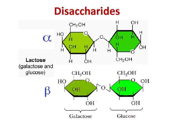 Disaccharides 