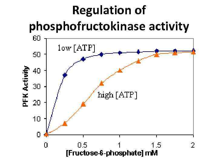 Regulation of phosphofructokinase activity 