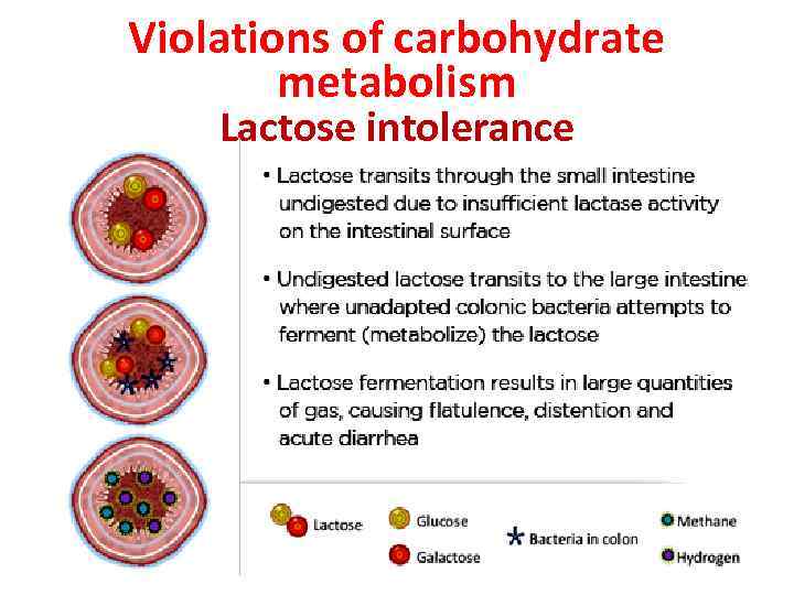 Violations of carbohydrate metabolism Lactose intolerance 