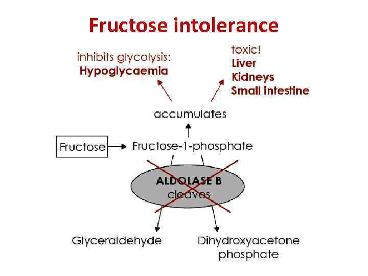 Fructose intolerance 