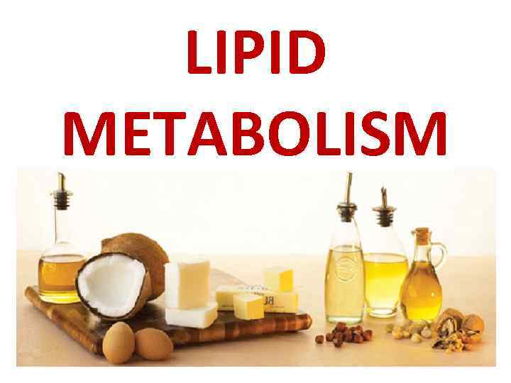 LIPID METABOLISM 