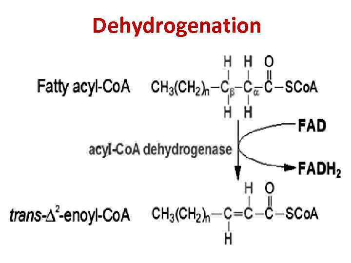 Dehydrogenation 