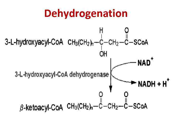 Dehydrogenation 