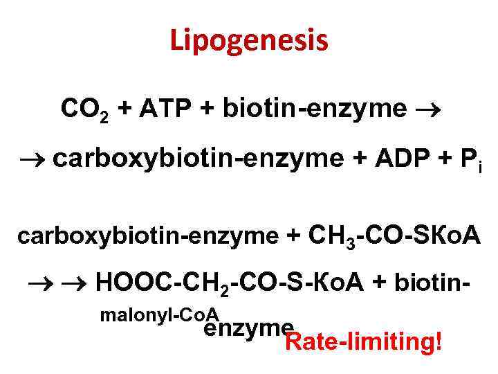 Lipogenesis СО 2 + АТP + biotin-enzyme carboxybiotin-enzyme + АDP + Pi carboxybiotin-enzyme +