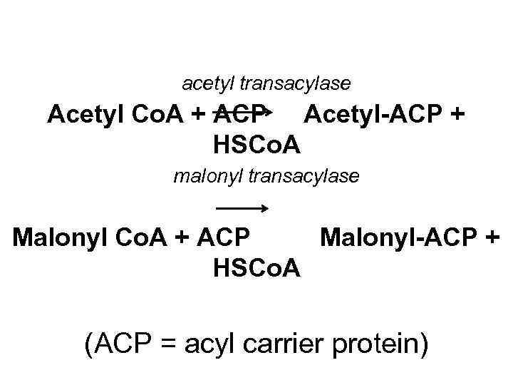 acetyl transacylase Acetyl Co. A + ACP Acetyl-ACP + HSCo. A malonyl transacylase Malonyl