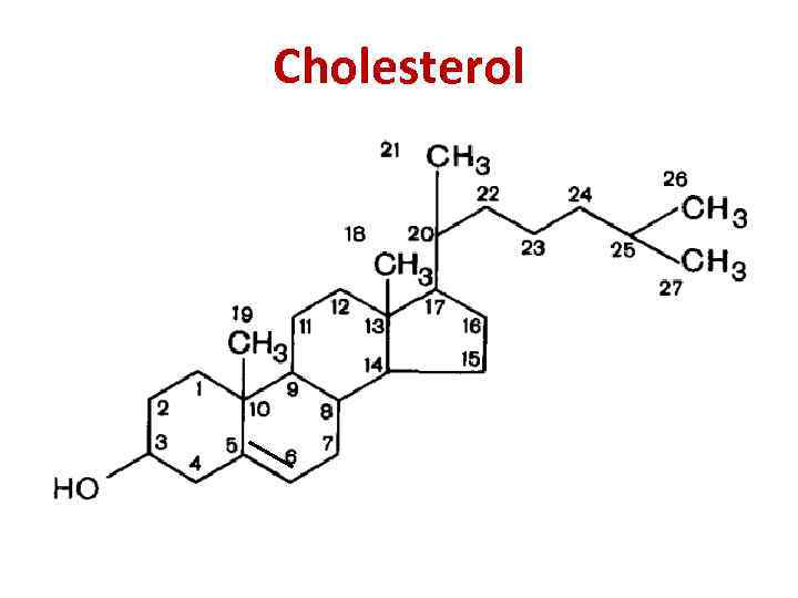 Cholesterol 