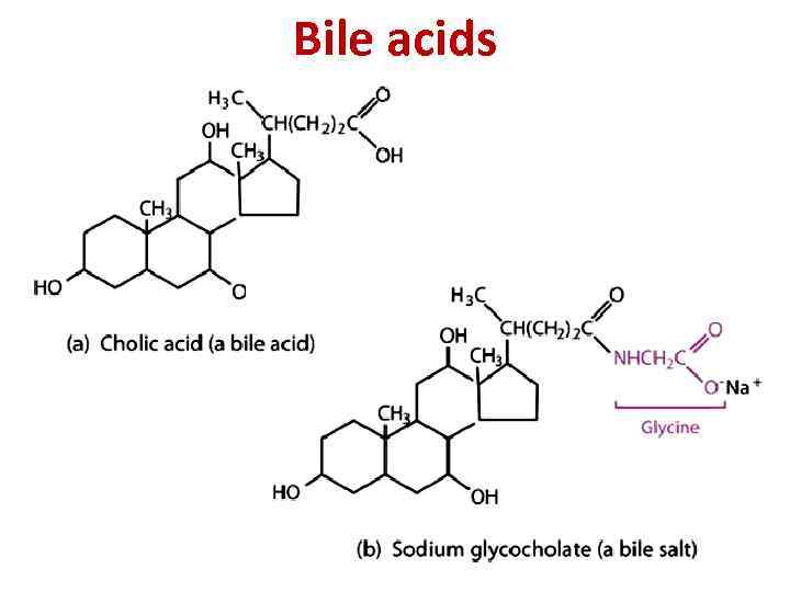 Bile acids 