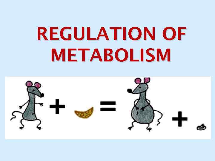 REGULATION OF METABOLISM 