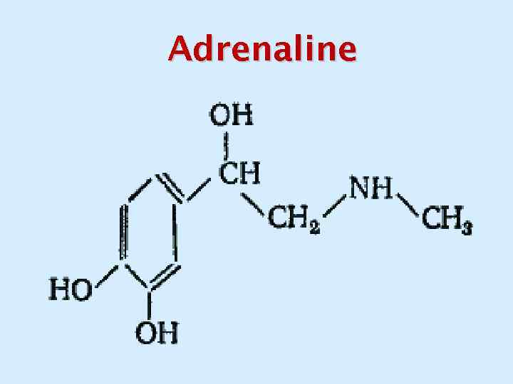 Adrenaline 