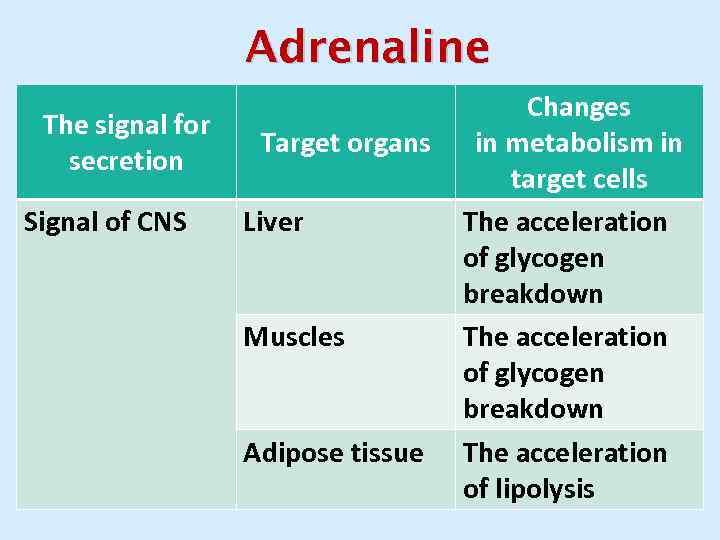 Adrenaline The signal for secretion Signal of CNS Target organs Liver Muscles Adipose tissue