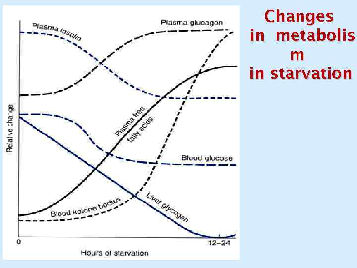 Changes in metabolis m in starvation 