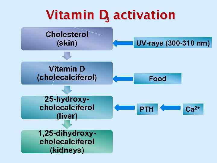 Vitamin D activation 3 Cholesterol (skin) Vitamin D (cholecalciferol) 25 -hydroxycholecalciferol (liver) 1, 25