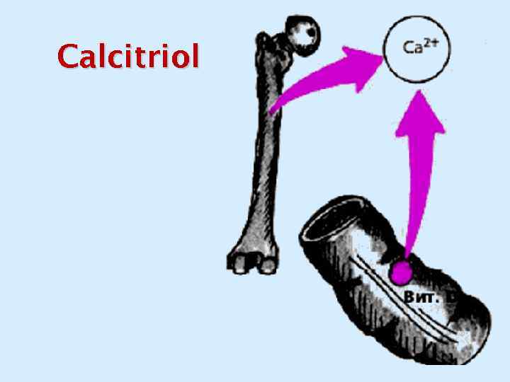 Calcitriol 