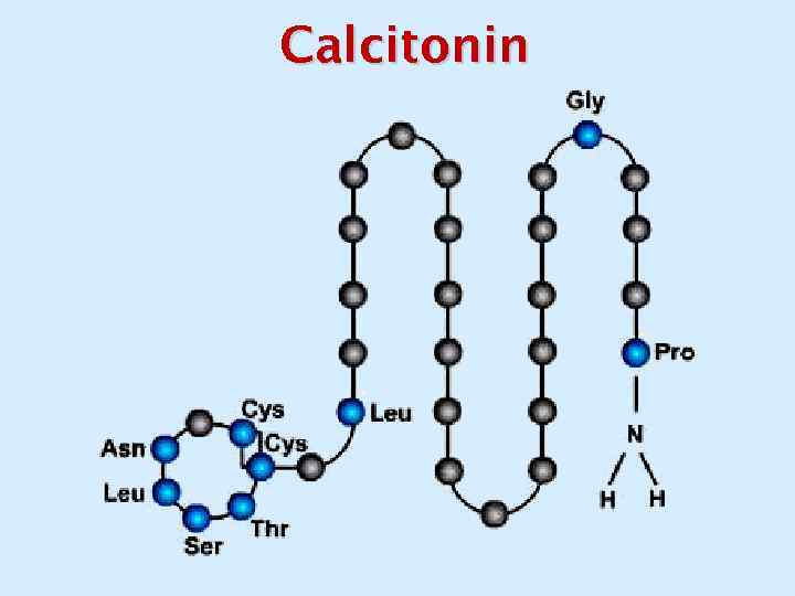 Calcitonin 