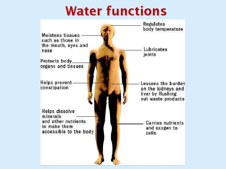 Water functions 