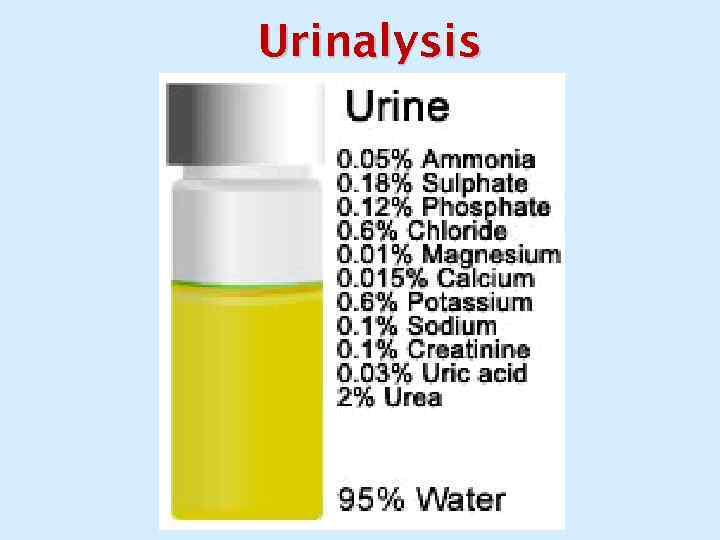 Urinalysis 