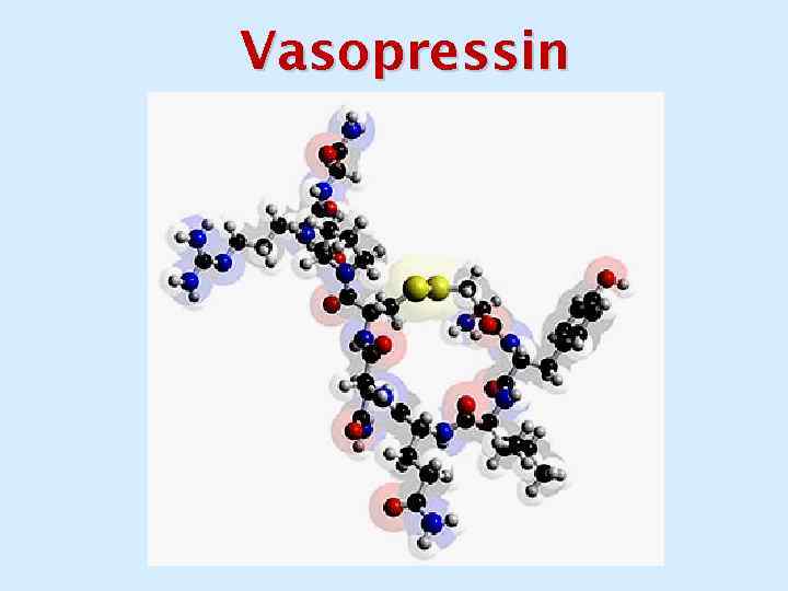 Vasopressin 