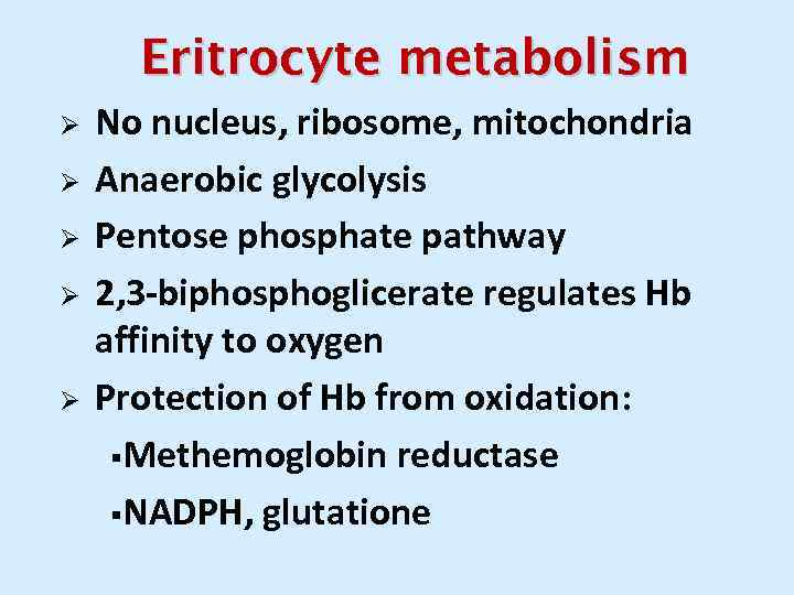 Eritrocyte metabolism Ø Ø Ø No nucleus, ribosome, mitochondria Anaerobic glycolysis Pentose phosphate pathway