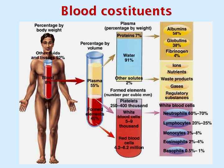 Blood costituents 